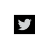 Twitter梯子-推特加速器