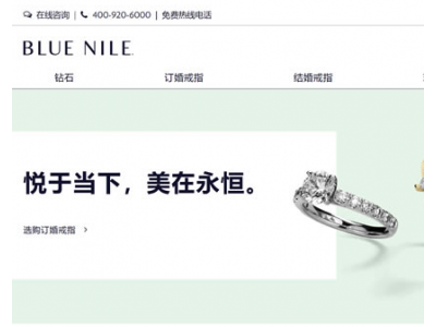 Blue Nile （全球知名的钻石和珠宝网络零售商）