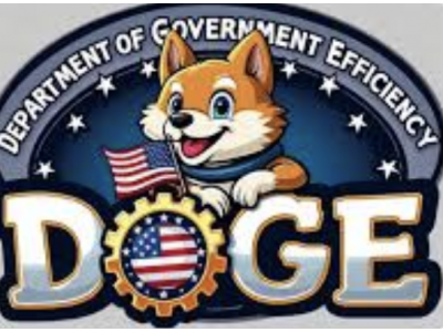 Department of Government Efficiency - 政府效