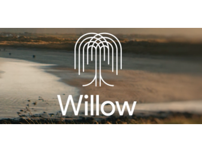 谷歌Willow量子芯片