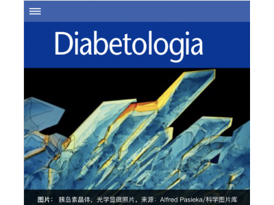 Diabetologia - 糖尿病学杂志
