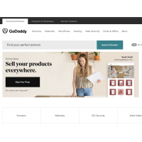 GoDaddy-域名注册商