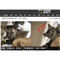 NOWnews-今日新闻
