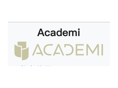 Academi-黑水国际&安全顾问